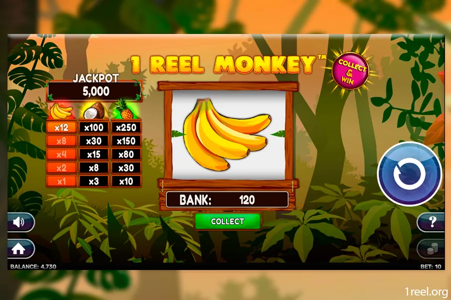 1Reel Monkey mobile view