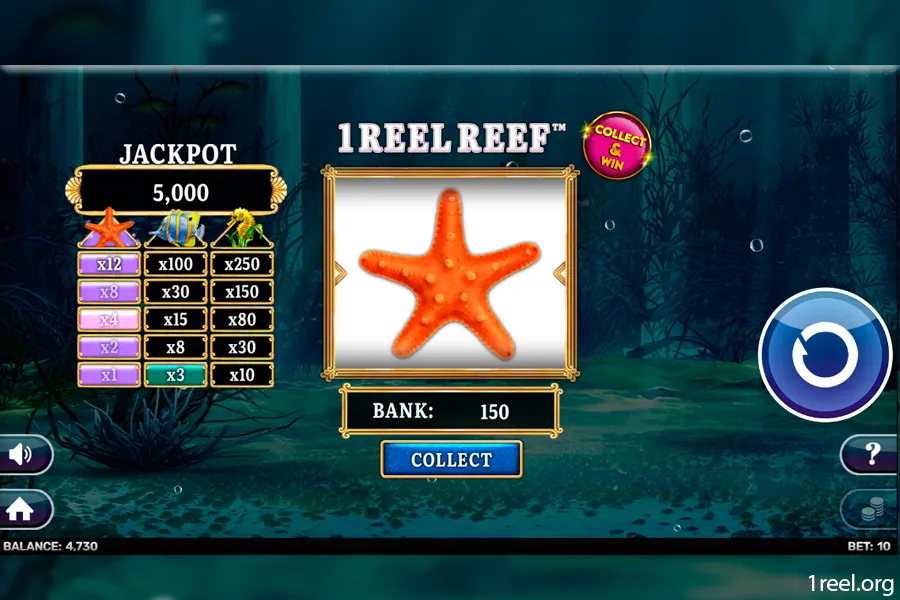 1Reel Reef mobile view
